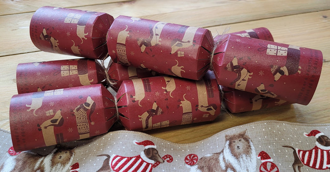 Bitzer's Festive Cracker