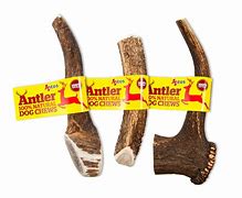 Antos Antlers